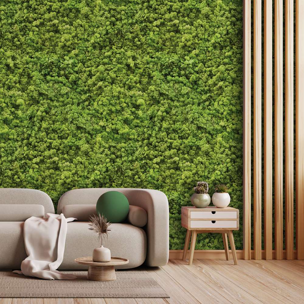 mural / folhas / 003